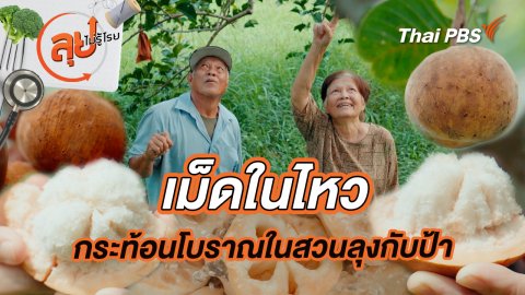 “เม็ดในไหว” กระท้อนโบราณในสวนลุงกับป้า