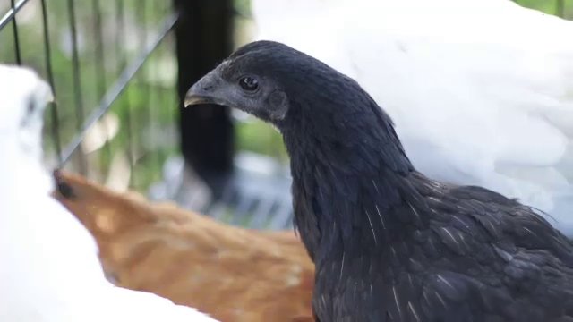 จ.สกลนคร