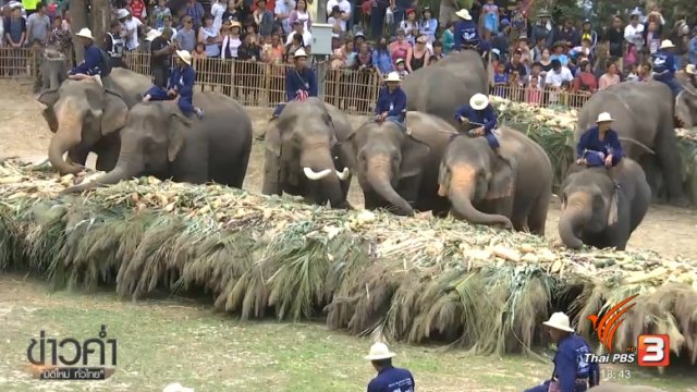 ประเด็นข่าว (13 มี.ค. 60)