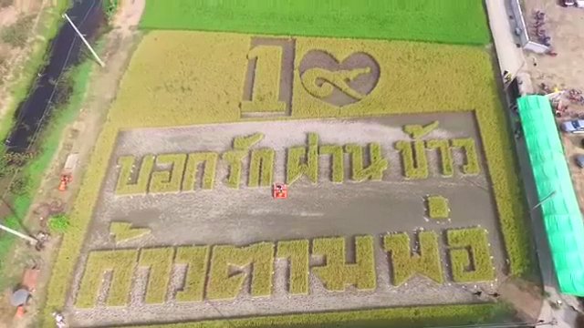 ประเด็นข่าว (14 มี.ค. 60)