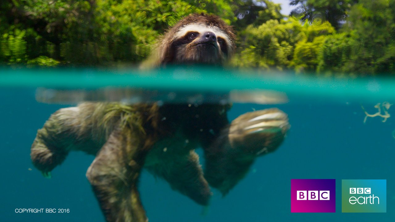 พิภพมหัศจรรย์ Planet Earth II - อัศจรรย์แห่งเกาะแก่ง