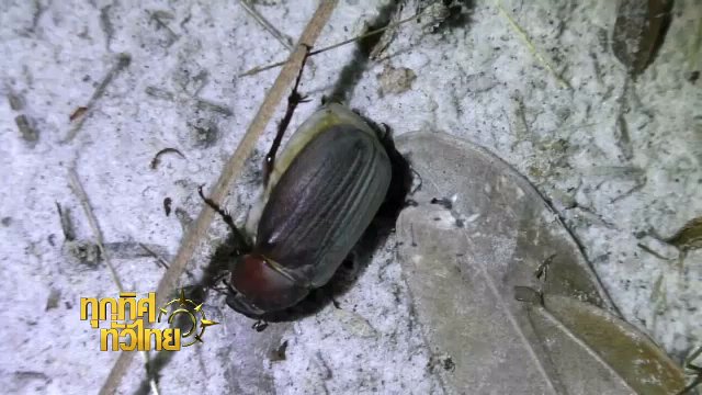 ประเด็นข่าว (23 มี.ค. 60)