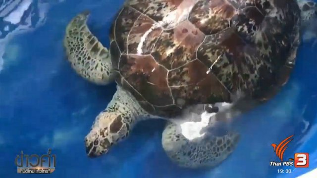 ประเด็นข่าว (21 มี.ค. 60)