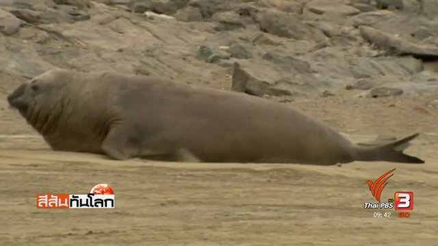 ประเด็นข่าว (25 มี.ค. 60)