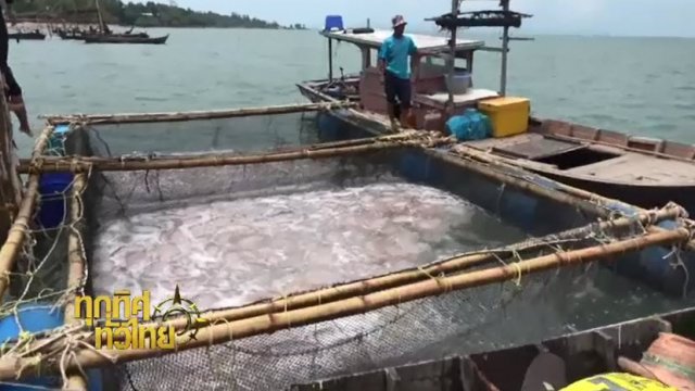 ประเด็นข่าว (31 มี.ค. 60)