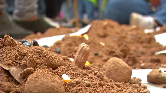 หยุดทวงผืนป่า ทำตามสัญญา แก้ปัญหาที่ดิน