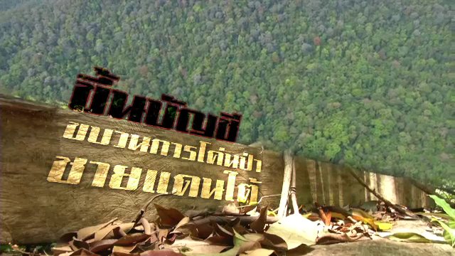 ขึ้นบัญชีขบวนการโค่นป่าชายแดนใต้