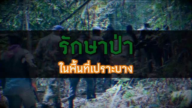 รักษาป่าในพื้นที่เปราะบาง