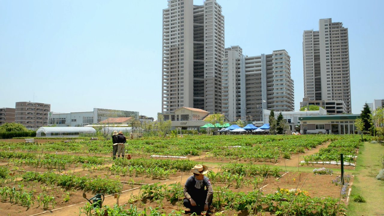 เนทูโรโพลิส - โตเกียว จากป่าคอนกรีตสู่ป่าธรรมชาติ