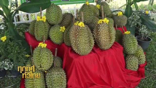 ประเด็นข่าว (18 เม.ย. 60)