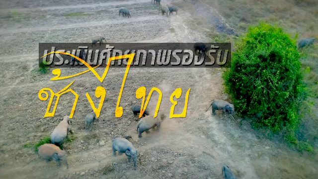 ประเมินศักยภาพรองรับช้างไทย