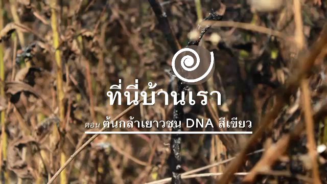 ต้นกล้าเยาวชน DNA สีเขียว