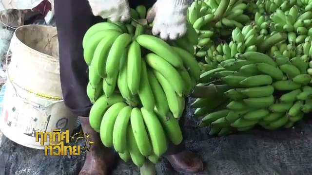 ประเด็นข่าว (3 พ.ค. 60)