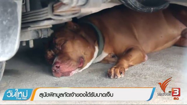 ประเด็นข่าว (8 พ.ค. 60)