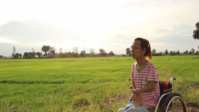 เชอรี่