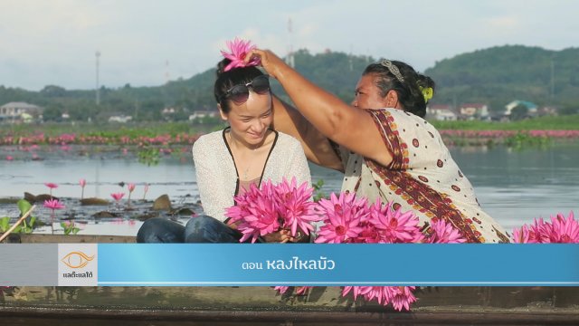 หลงไหลบัว