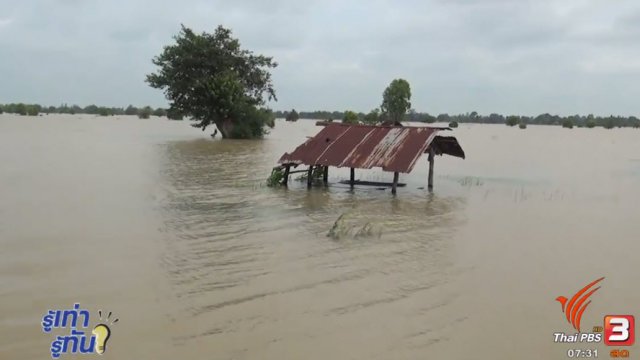 มาตราการเยียวยาภาคการเกษตร