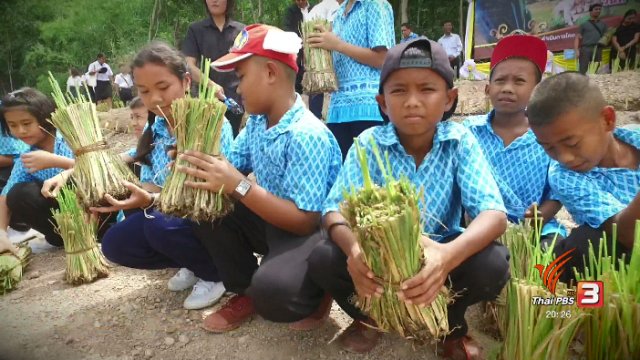 แปดล้านเก้า กล้าหาญแฝก ปลูกแฝก ราชบุรี