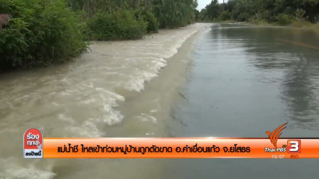 แม่น้ำชี ไหลเข้าท่วมหมู่บ้านถูกตัดขาด อ.คำเขื่อนแก้ว จ.ยโสธร