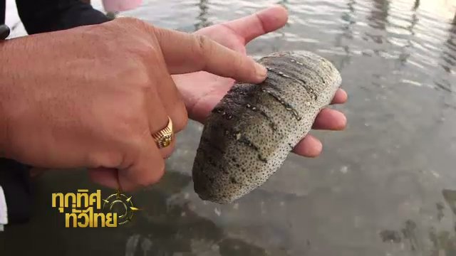 ประเด็นข่าว (21 ส.ค. 60)