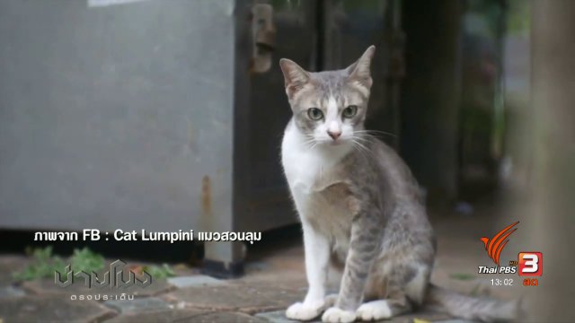 ประเด็นข่าว (24 ส.ค. 60)