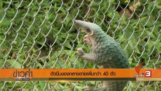 ประเด็นข่าว (2 ก.ย. 60)