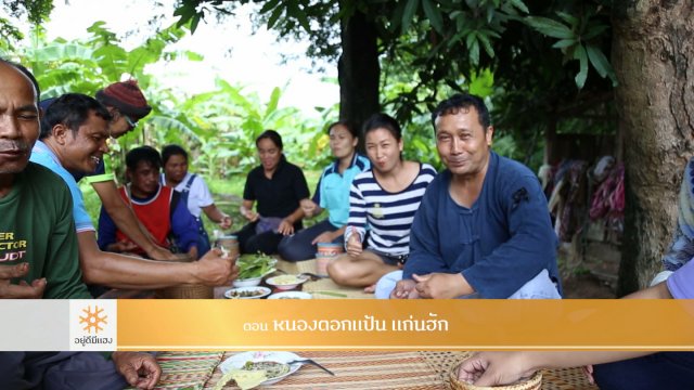 หนองตอกแป้น แก่นฮัก