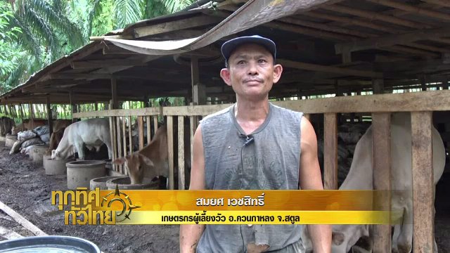 ประเด็นข่าว (11 ก.ย. 60)