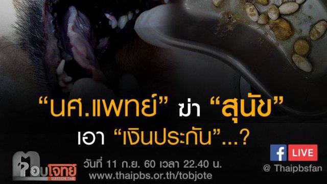 "นศ.แพทย์" ฆ่า "สุนัข" เอา "เงินประกัน"...?