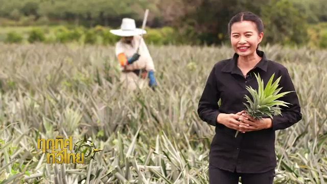 ประเด็นข่าว (15 ก.ย. 60)