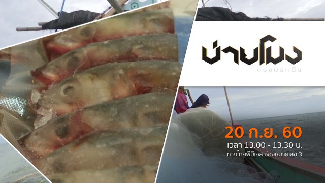 ประเด็นข่าว ( 20 ก.ย. 60)