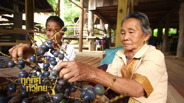 ประเด็นข่าว (19 ก.ย. 60)