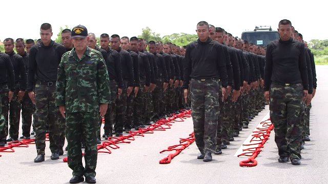 เตรียมพร้อมพลฉุดชักราชรถ