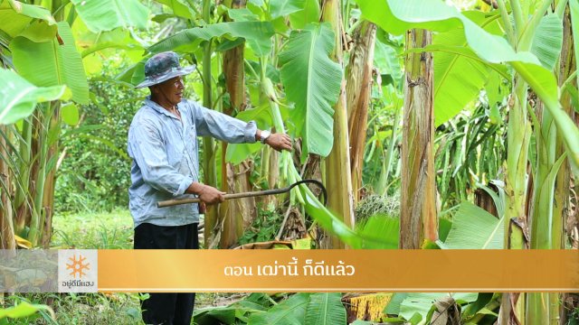 เฒ่านี้ ก็ดีแล้ว