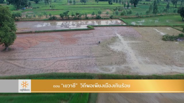 เขวาชี วิถีพอเพียงเมืองเกินร้อย