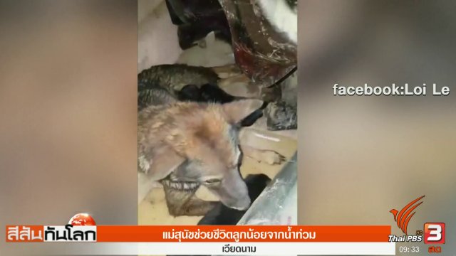 ประเด็นข่าว (30 ก.ย. 60)