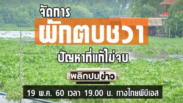 จัดการผักตบชวา ปัญหาที่แก้ไม่จบ