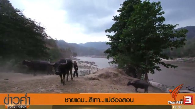 ประเด็นข่าว (28 พ.ค. 60)