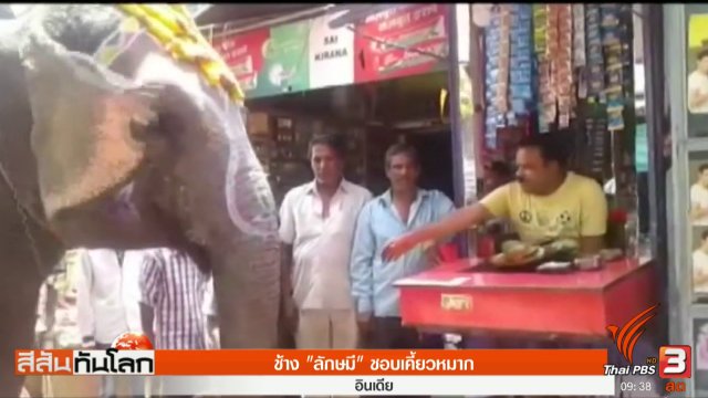 ประเด็นข่าว (3 มิ.ย. 60)