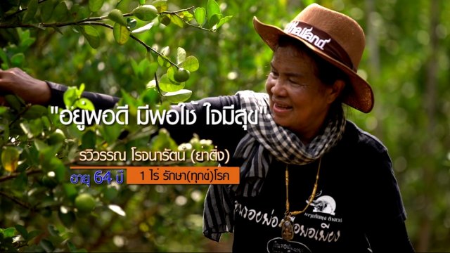 ย่าติ่ง 1 ไร่รักษา(ทุกข์)โรค / ข้าวตัง