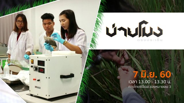 ประเด็นข่าว ( 7 มิ.ย. 60)