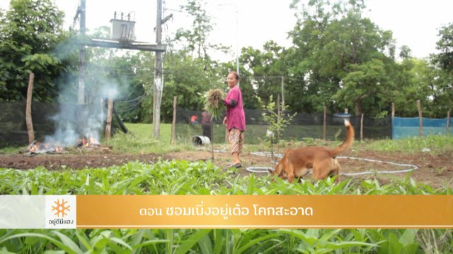 ซอมเบิ่งอยู่เด้อ โคกสะอาด