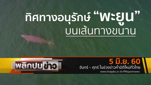 ทิศทางอนุรักษ์ "พะยูน" บนเส้นทางขนาน