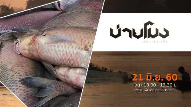 ประเด็นข่าว ( 21 มิ.ย. 60)