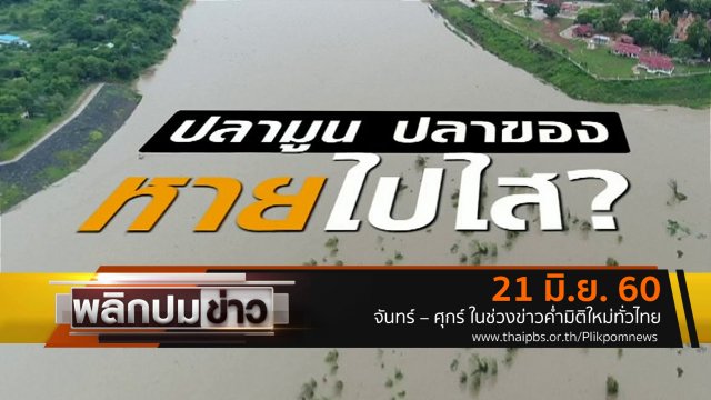 ปลามูน ปลาของ หายไปไส?