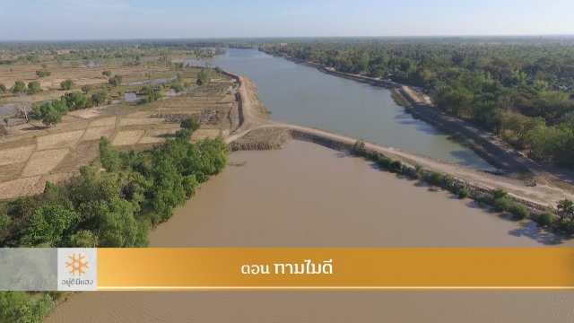 ทามไมดี