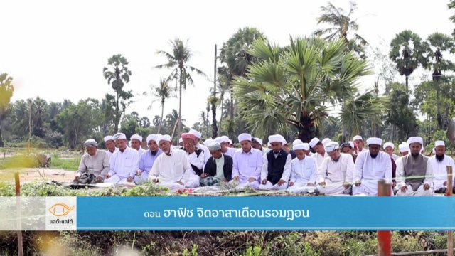 ฮาฟิซจิตอาสา