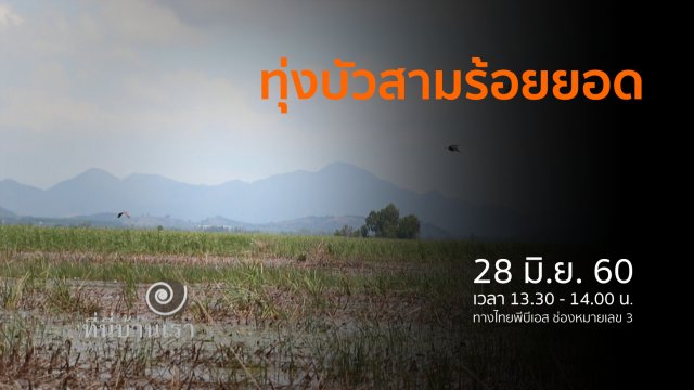 ทุ่งสามร้อยยอด