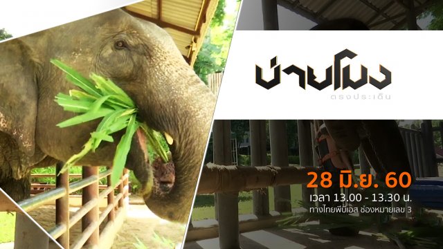 ประเด็นข่าว ( 28 มิ.ย. 60)