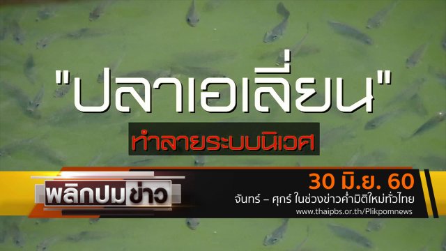 ปลาเอเลี่ยน ทำลายระบบนิเวศ